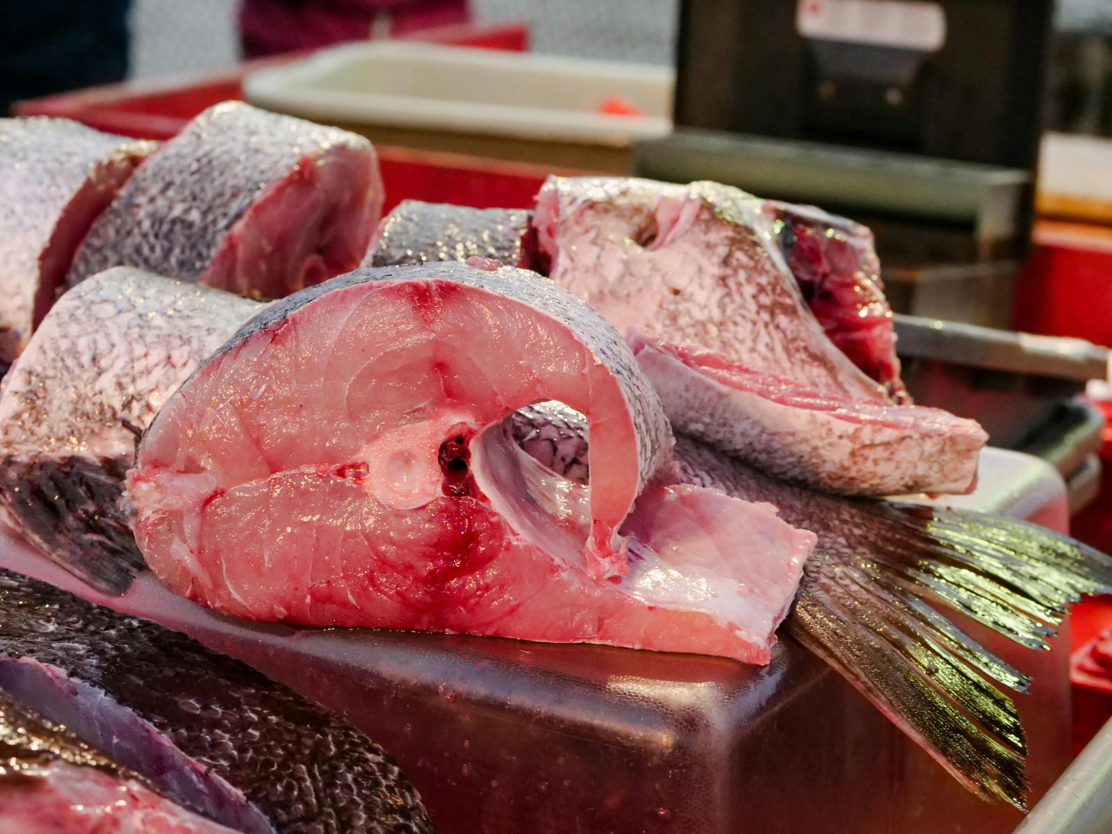 Fish-Cut